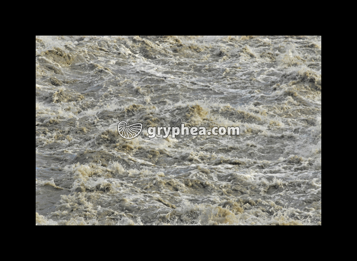 Remous Chutes d'eau de Dettifoss (Islande) - gryphea.com